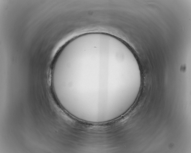 X0000091521510200709141404