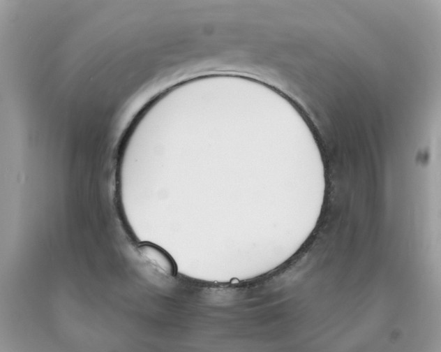 X0000091521511200709141404