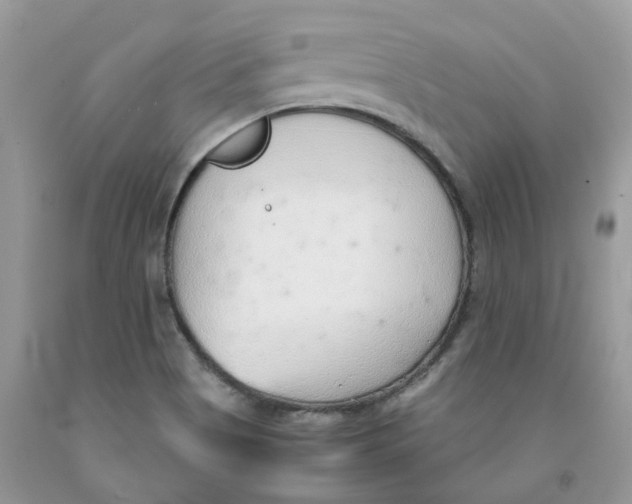 X0000091521513200709141404