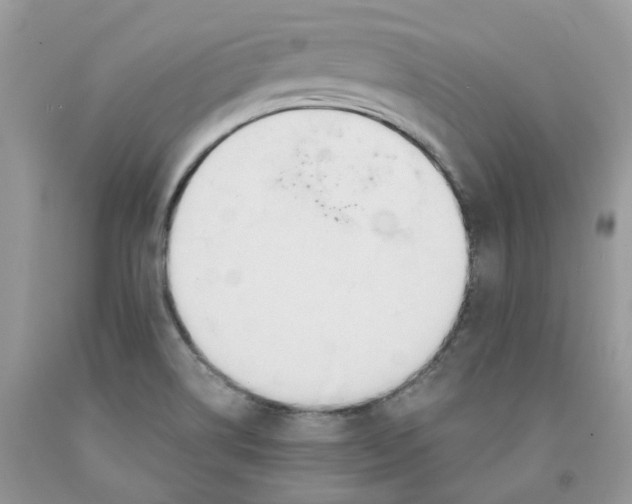 X0000091521514200709141404