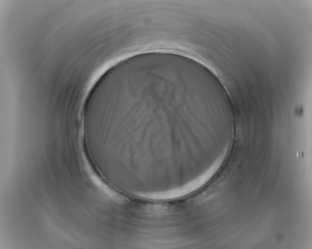 X0000091521515200709141404