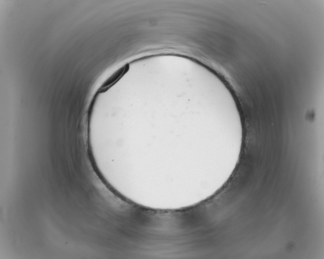 X0000091521516200709141404