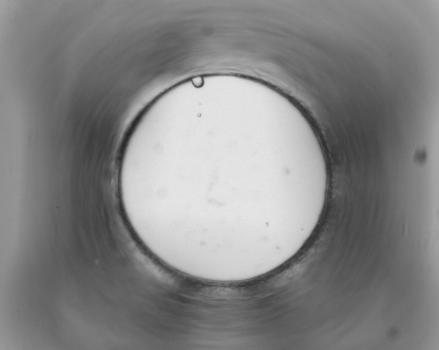 X0000091521517200709141404