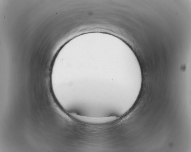 X0000091521518200709141404