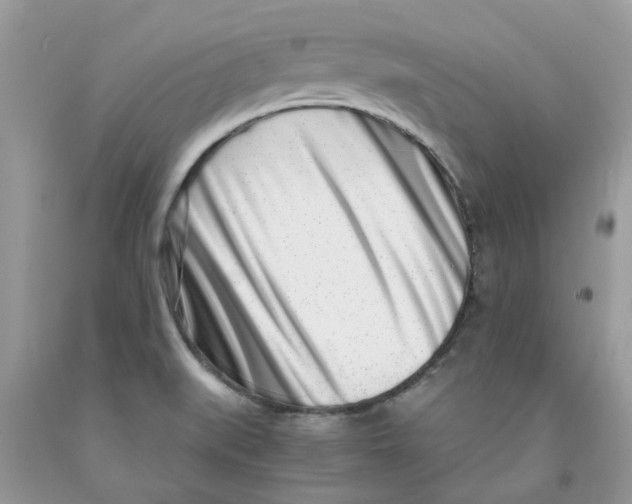 X0000091521519200709141404