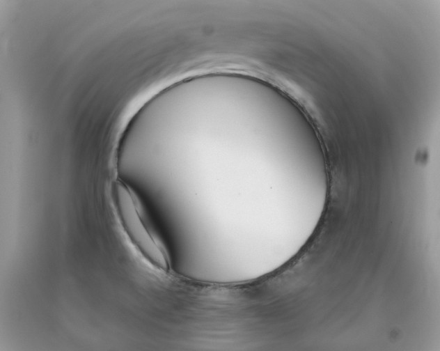 X0000091521520200709141404