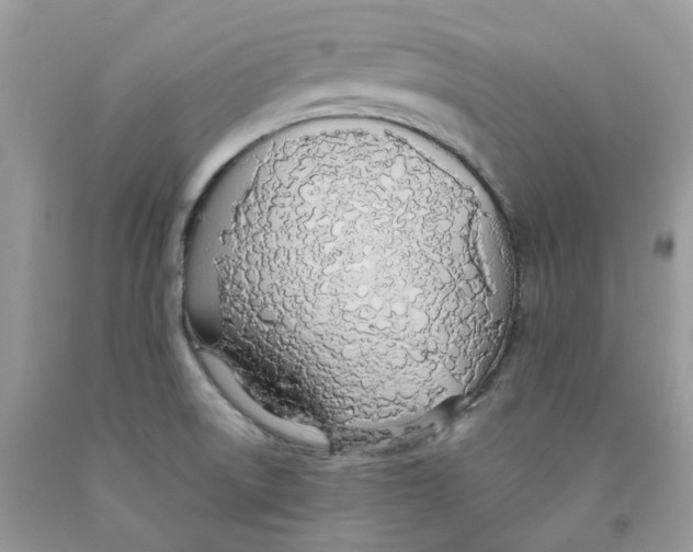 X0000091521522200709141404