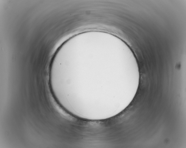 X0000091521523200709141404