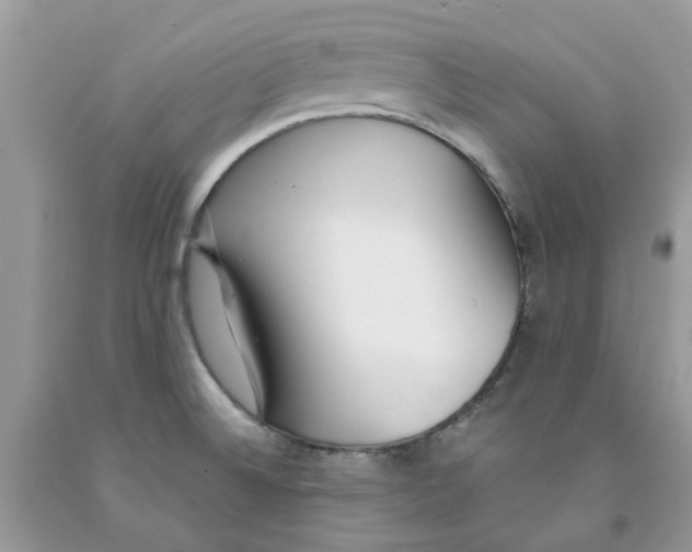 X0000091521524200709141405