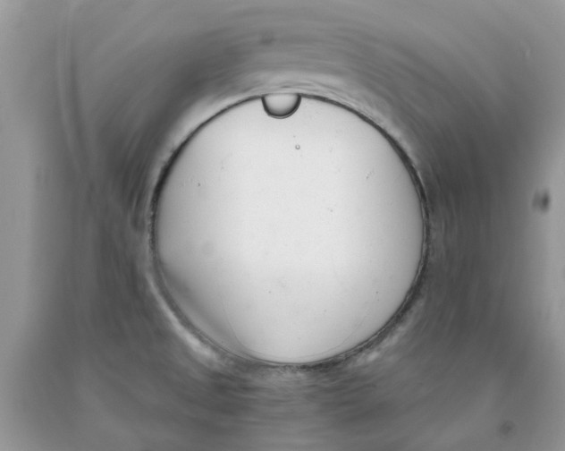 X0000091521525200709141405