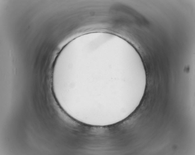 X0000091521526200709141405