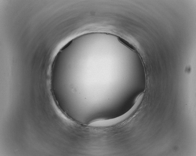 X0000091521528200709141405