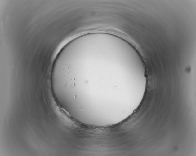 X0000091521530200709141405