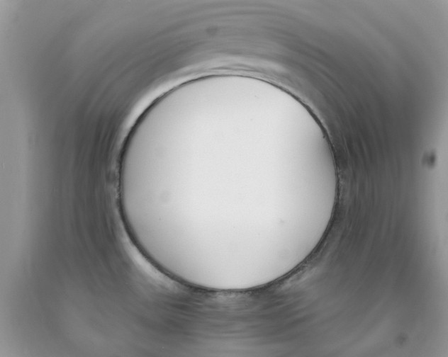 X0000091521531200709141405