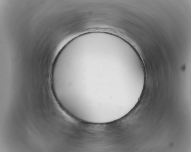 X0000091521533200709141405