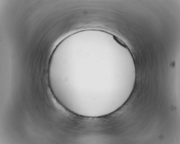 X0000091521534200709141405