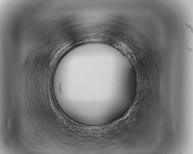 X0000091530001200708170959