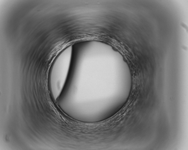 X0000091530002200708170959