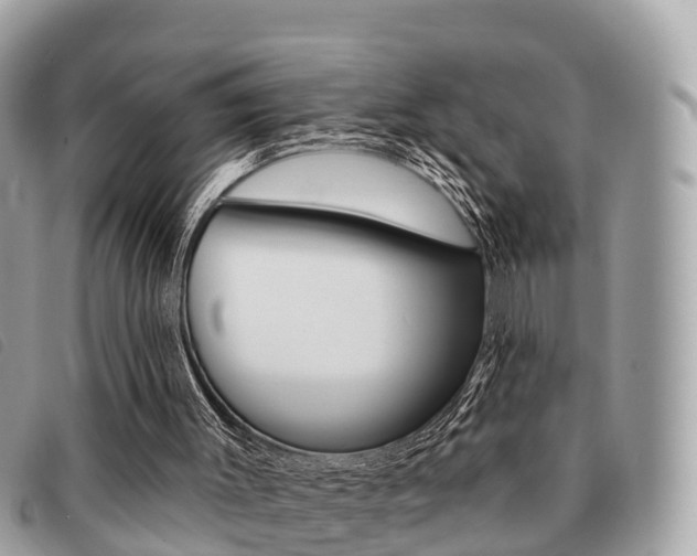X0000091530003200708170959
