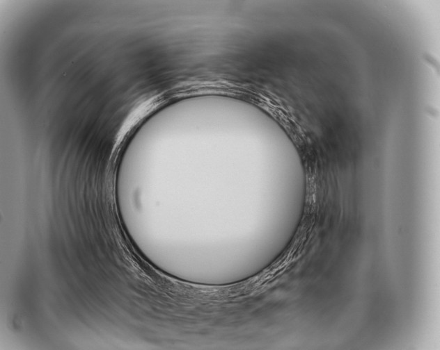 X0000091530004200708170959