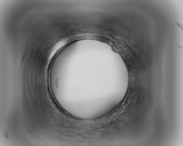 X0000091530006200708170959
