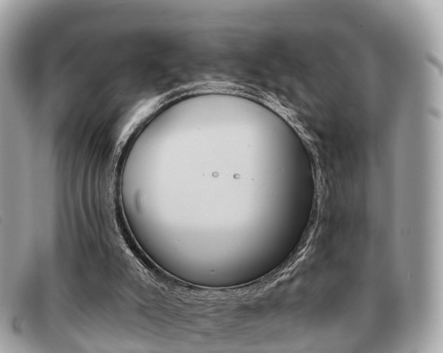 X0000091530007200708170959
