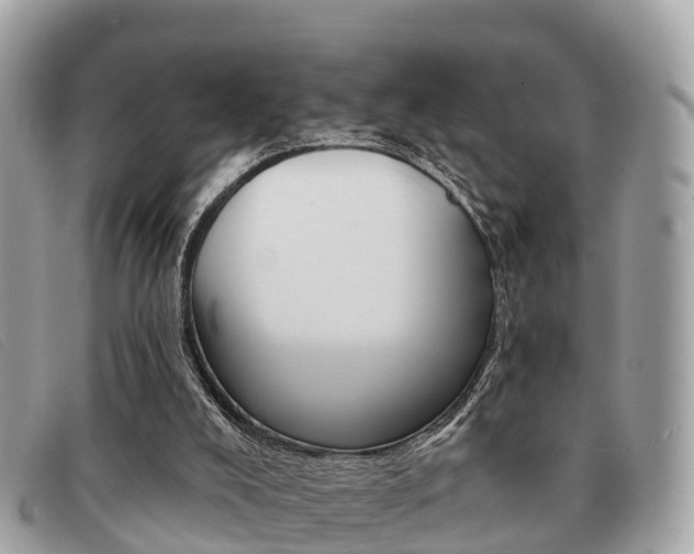 X0000091530008200708170959