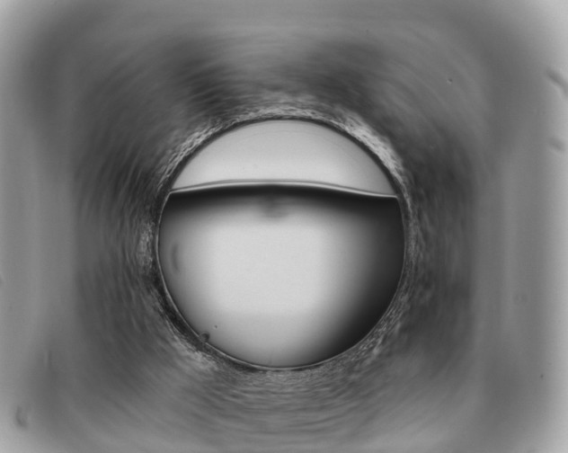 X0000091530009200708170959
