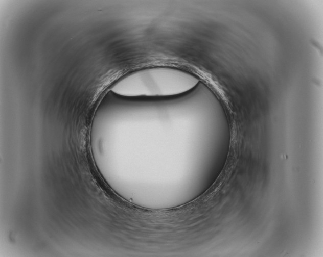 X0000091530010200708170959