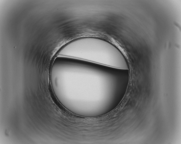 X0000091530011200708170959