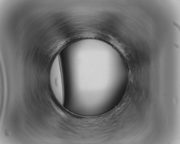 X0000091530013200708170959