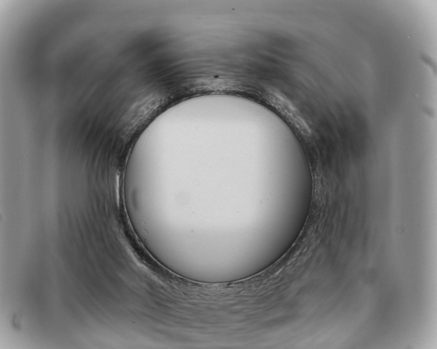 X0000091530014200708170959