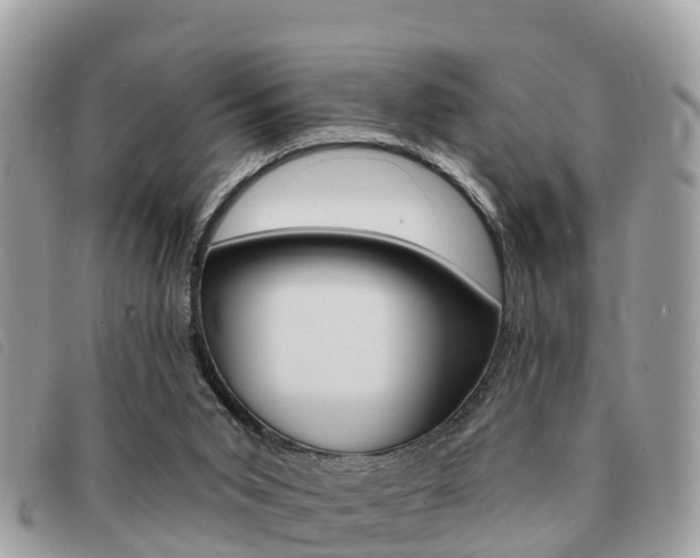 X0000091530015200708170959