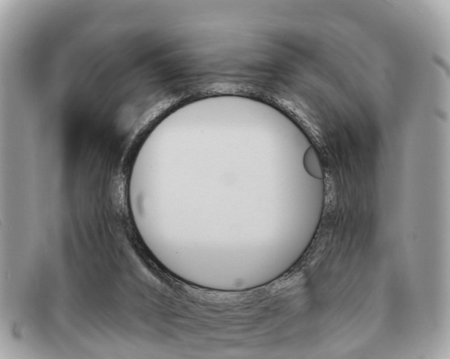 X0000091530016200708170959