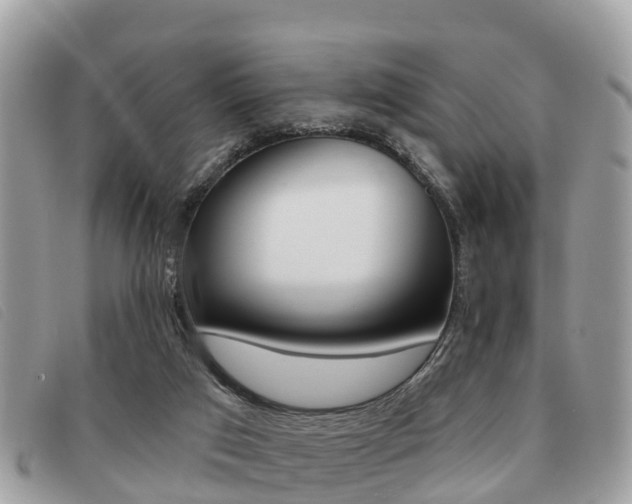 X0000091530017200708170959