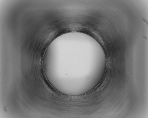 X0000091530018200708170959