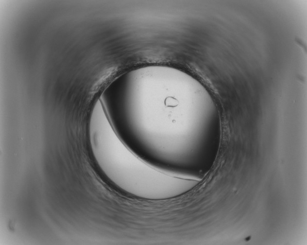 X0000091530019200708170959