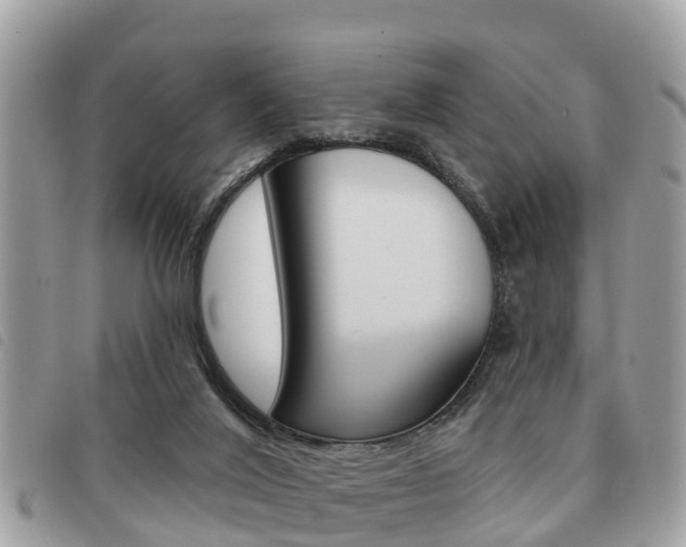 X0000091530020200708170959