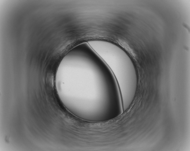 X0000091530021200708170959