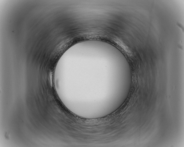 X0000091530022200708170959