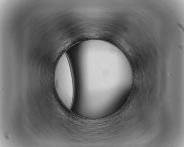 X0000091530023200708170959
