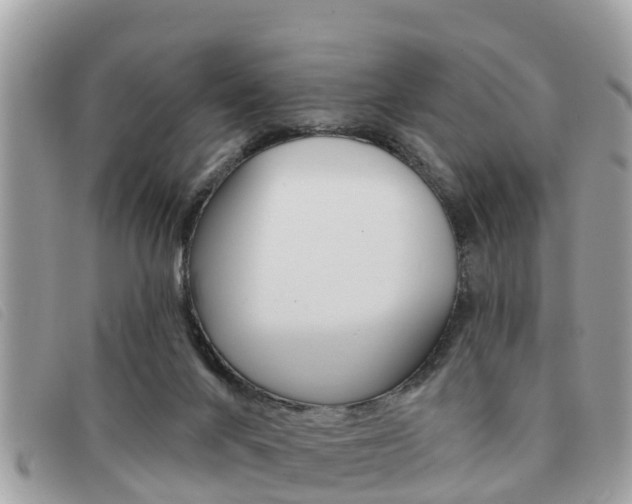 X0000091530024200708170959
