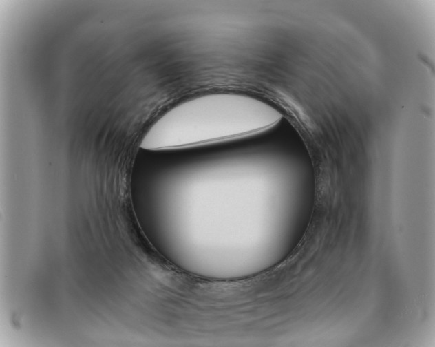 X0000091530025200708170959