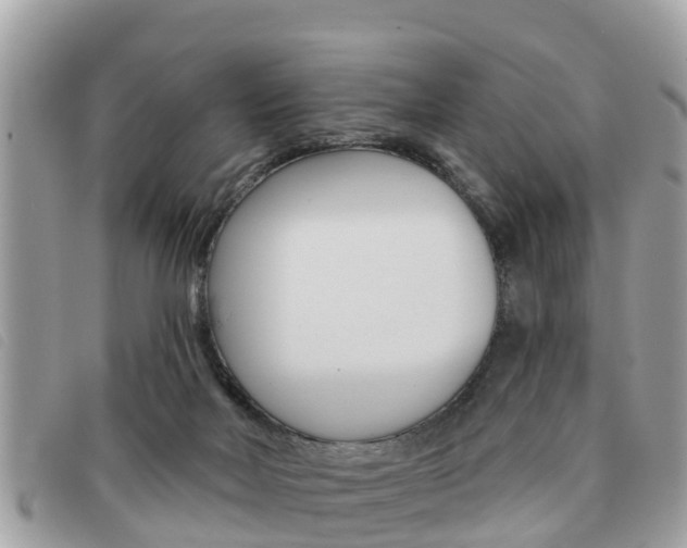 X0000091530026200708170959