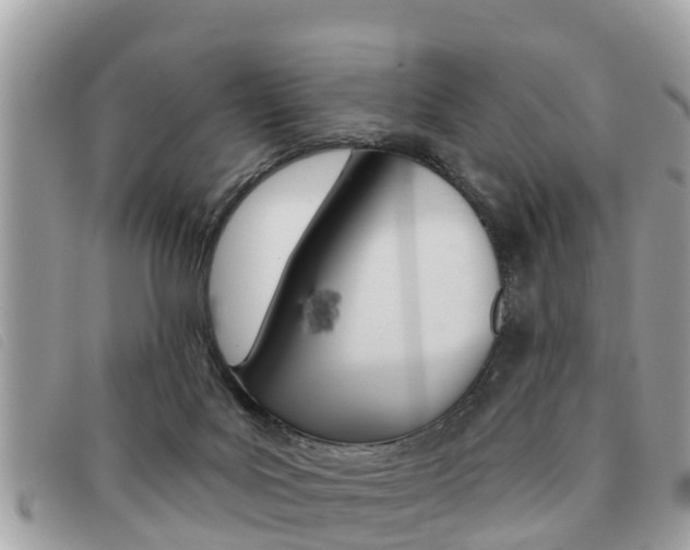 X0000091530027200708170959