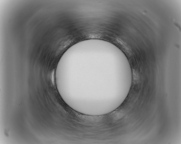 X0000091530028200708170959