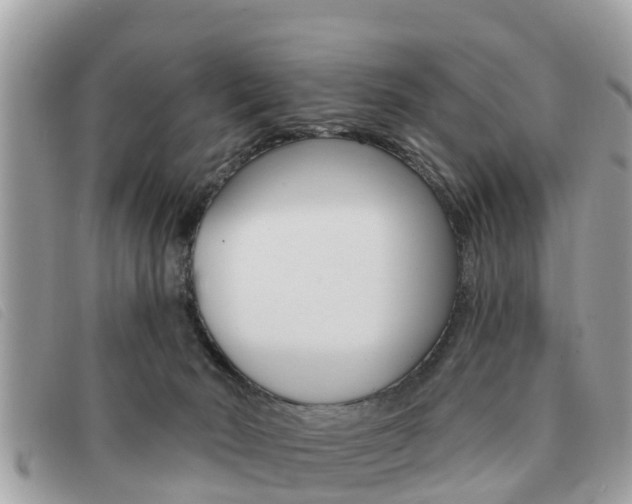 X0000091530030200708170958