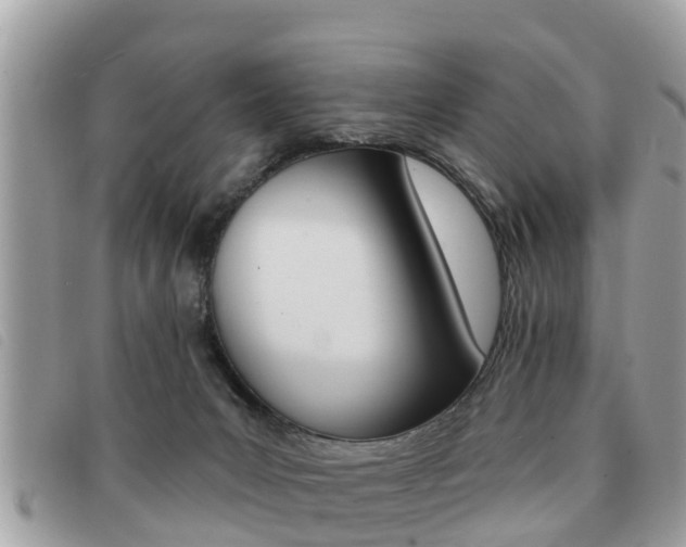 X0000091530031200708170958