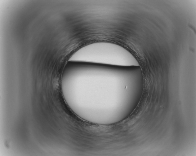 X0000091530032200708170958