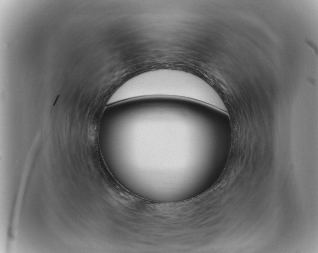 X0000091530033200708170958